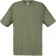 color:classic olive